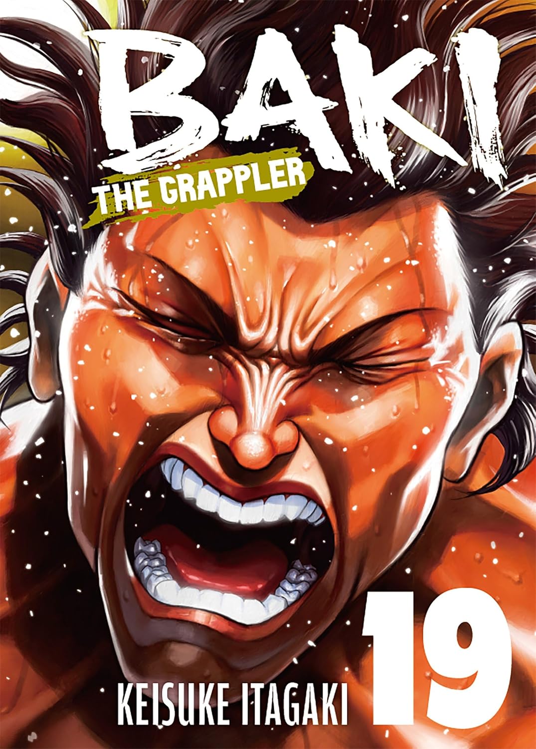 Baki The Grappler (Perfect Edition) vol 19