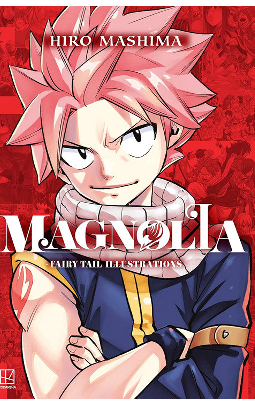 Magnolia Fairy Tail Illustrations