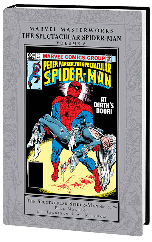 Marvel Masterworks The Spectacular Spider-Man vol 06 hardcover