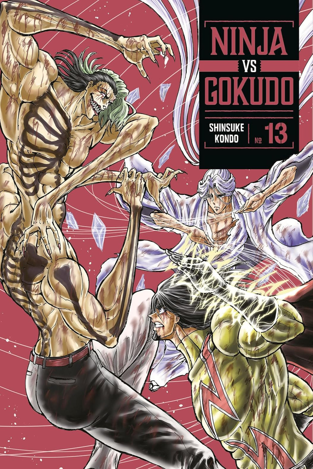 Ninja vs Gokudo vol 13