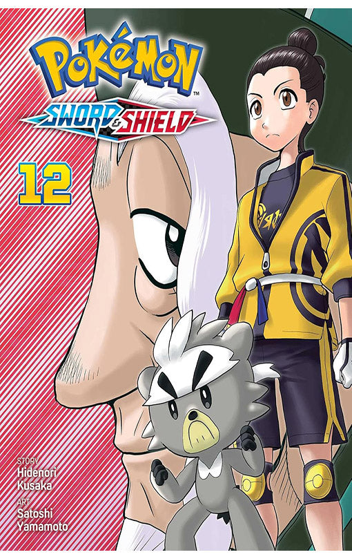 Pokemon Sword & Shield vol 12