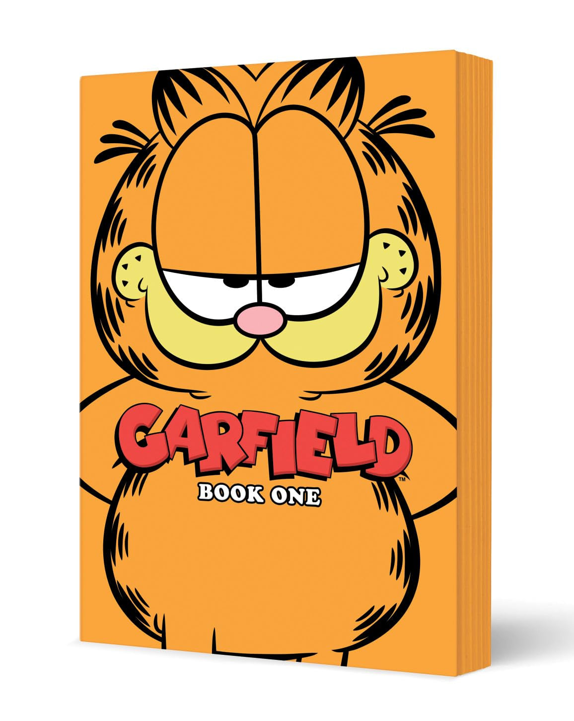 Garfield Book One tp