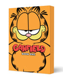Garfield Book One tp