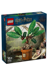 Harry Potter Mandrake