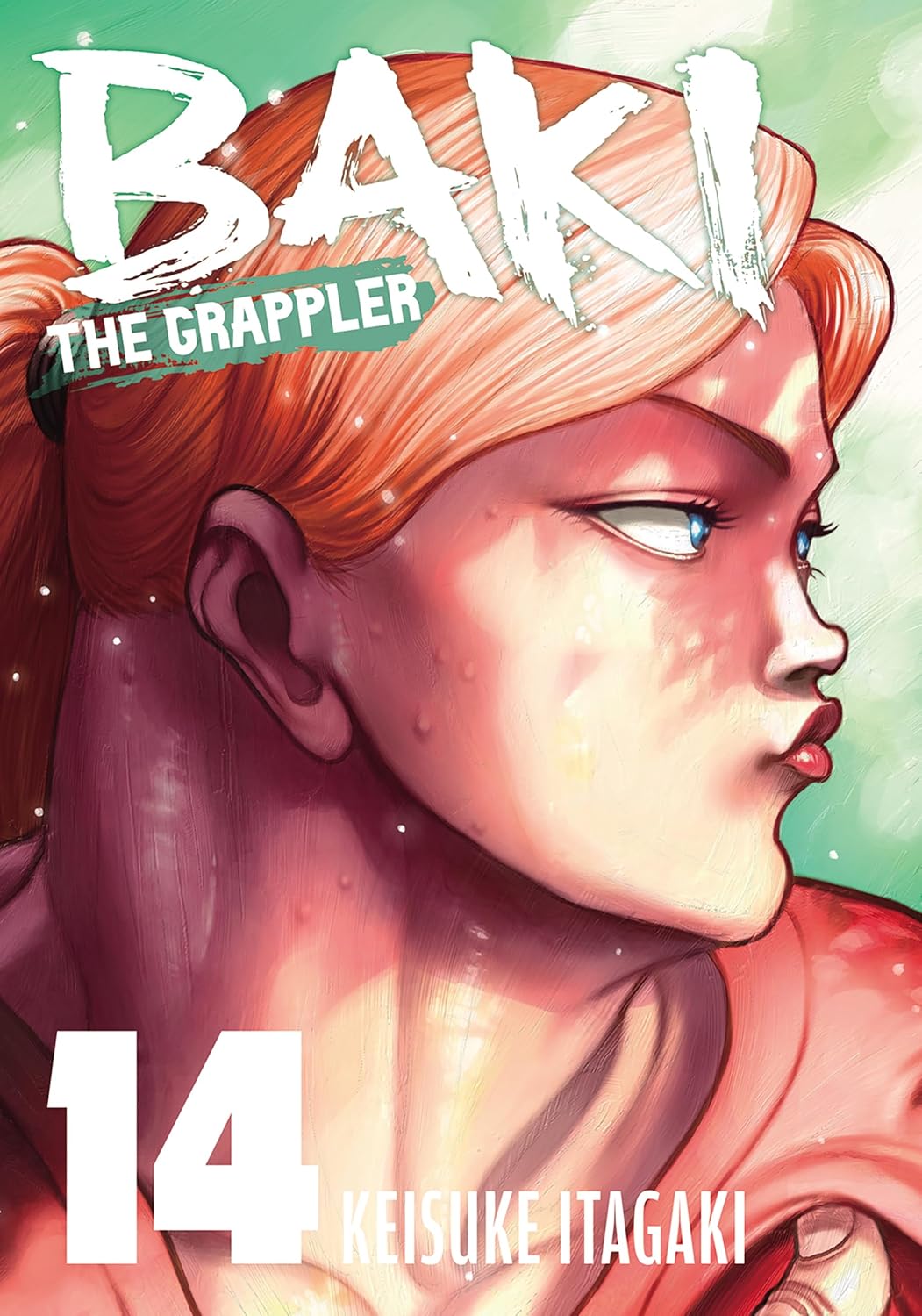 Baki The Grappler (Perfect Edition) vol 14