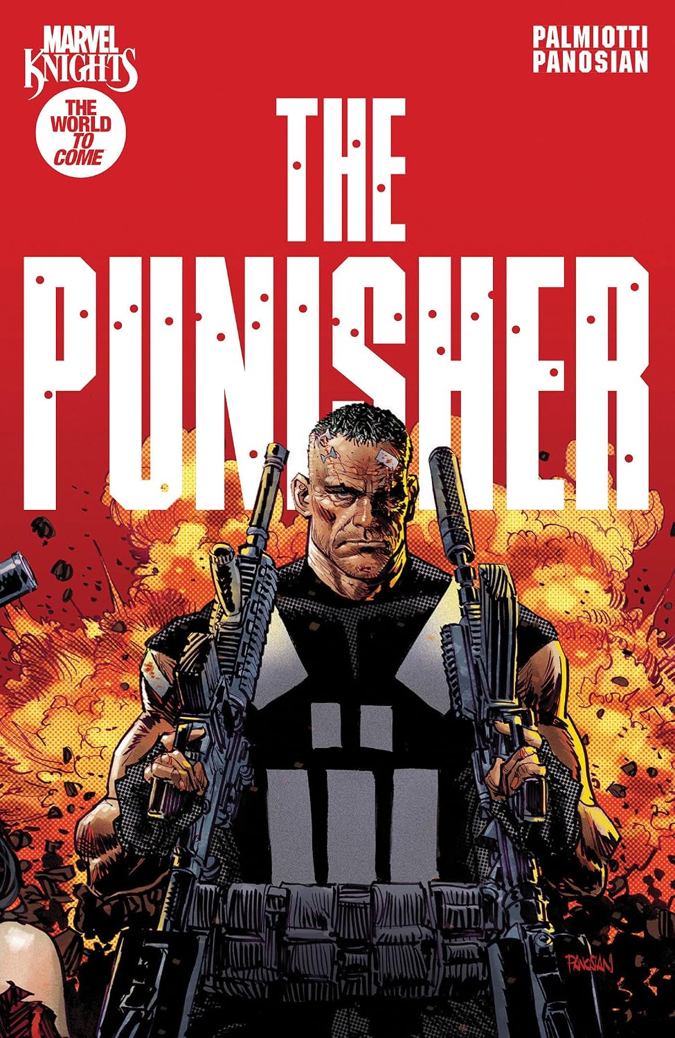 Marvel Knights: Punisher tp