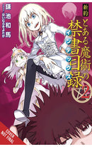 A Certain Magical Index NT vol 02 Light Novel