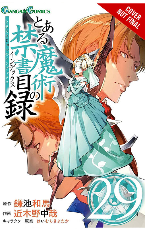 A Certain Magical Index vol 29 (Manga)