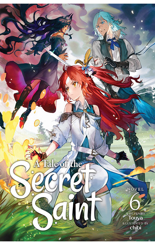A Tale of the Secret Saint vol 06 (Light Novel)