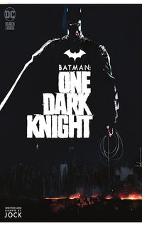 Batman One Dark Knight tp