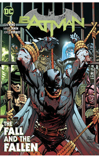 Batman vol 11 The Fall and The Fallen tp
