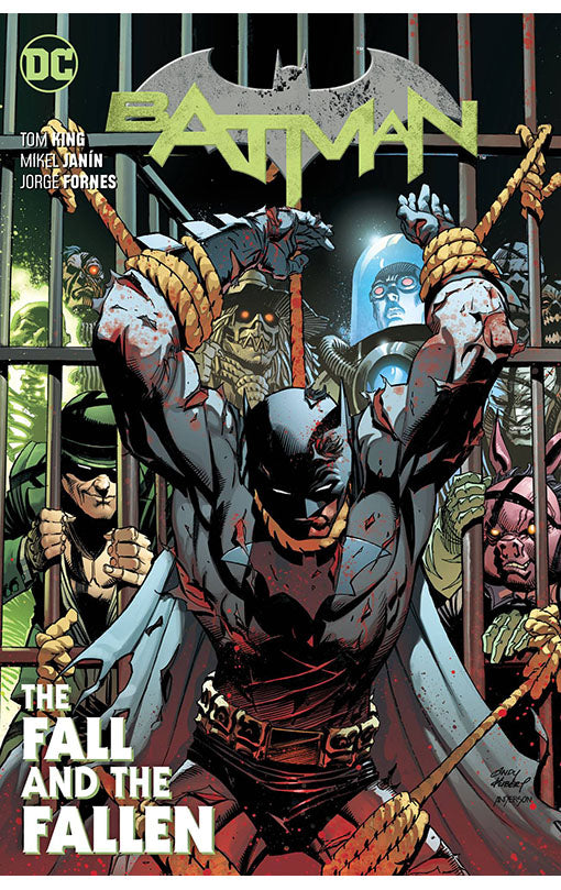 Batman vol 11 The Fall and The Fallen tp