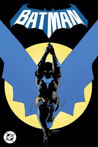Batman vol 01 Daylight hardcover