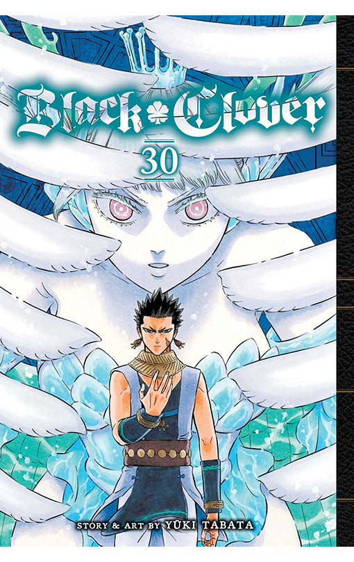 Black Clover vol 30 tp