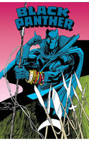 Black Panther Revenge of the Black Panther Omnibus hardcover