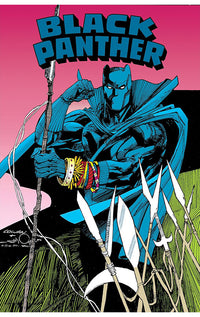 Black Panther Revenge of the Black Panther Omnibus hardcover