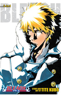 Bleach 3in1 vol 17 tp