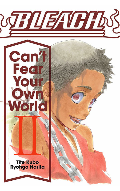 Bleach: Can't Fear Your Own World vol 02 (light novel)