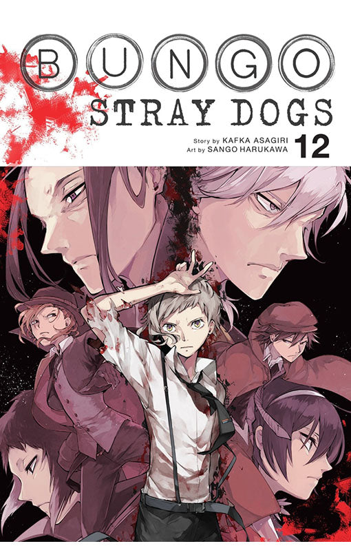 Bungo Stray Dogs vol 12 tp