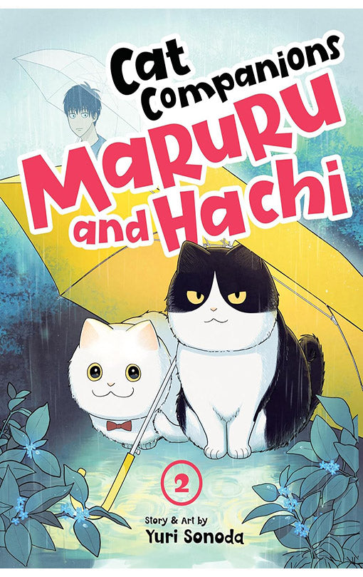 Cat Companions Maruru and Hachi vol 02