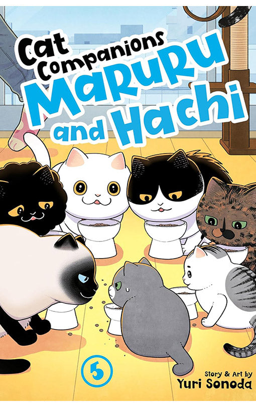 Cat Companions Maruru and Hachi vol 05