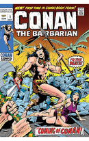 Conan the Barbarian The Original Comics Omnibus vol 01 HC