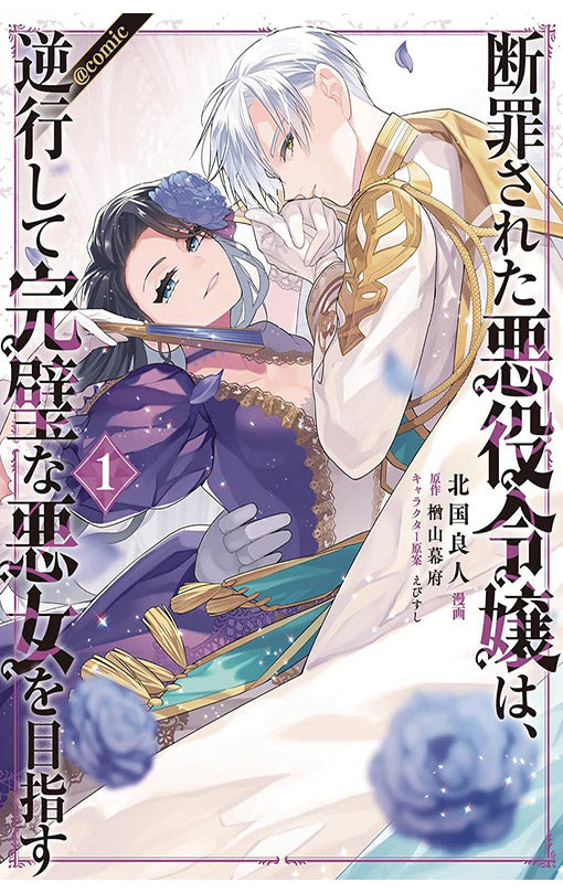 Condemned Villainess Goes Back in Time and Aims to Become the Ultimate Villain Light Novel vol 01