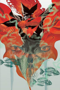 DC Poster Portfolio JH Williams III tp