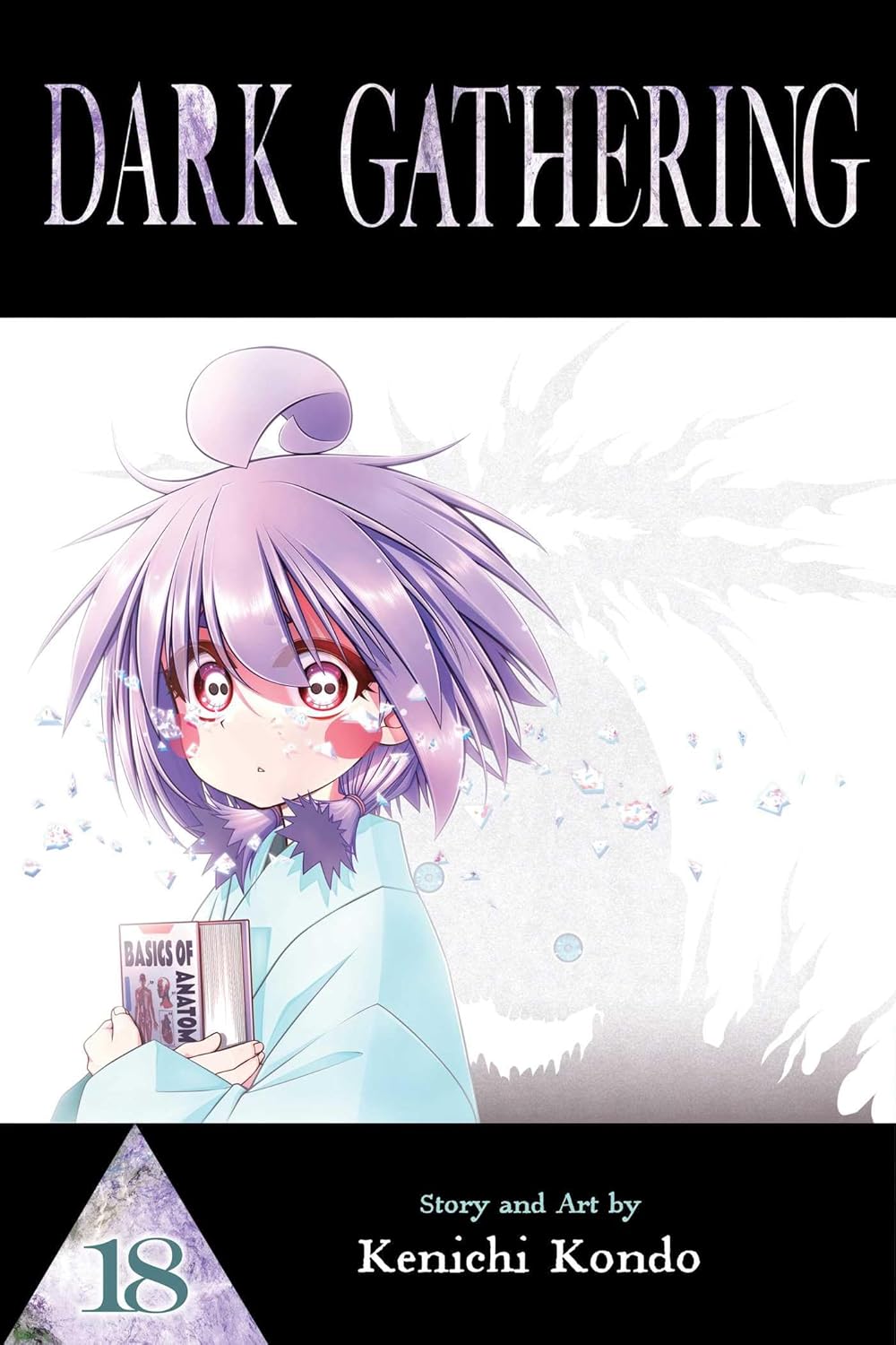 Dark Gathering vol 18