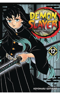 Demon Slayer Kimetsu No Yaiba vol 12 tp