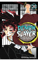 Demon Slayer Kimetsu No Yaiba vol 20 tp