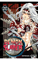 Demon Slayer Kimetsu No Yaiba vol 22 tp