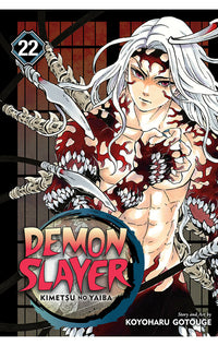 Demon Slayer Kimetsu No Yaiba vol 22 tp