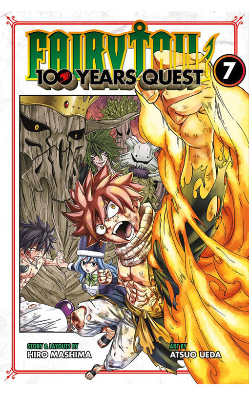 Fairy Tail 100 Years Quest vol 07