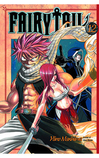 Fairy Tail vol 12