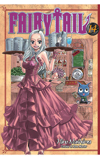 Fairy Tail vol 14