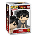 Funko POP! Fairy Tail 100 Year Quest - Gray (#2287) figure CHASE