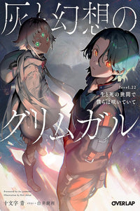 Grimgar of Fantasy and Ash vol 22 (light novel)