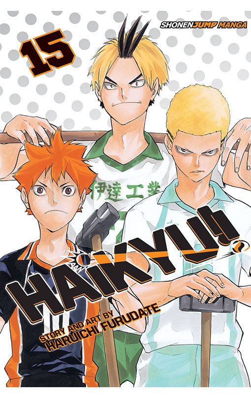 Haikyu vol 15 tp