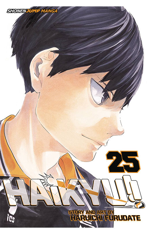 Haikyu vol 25 tp