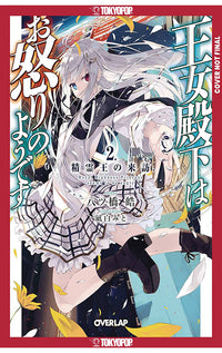 Her Royal Highness Seems to Be Angry (Light Novel) vol 02