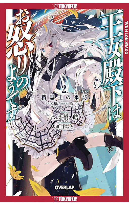 Her Royal Highness Seems to Be Angry (Light Novel) vol 02