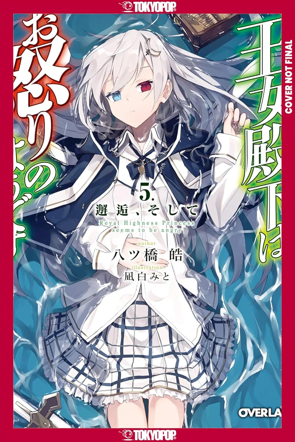 Her Royal Highness Seems to Be Angry vol 05 (light novel)
