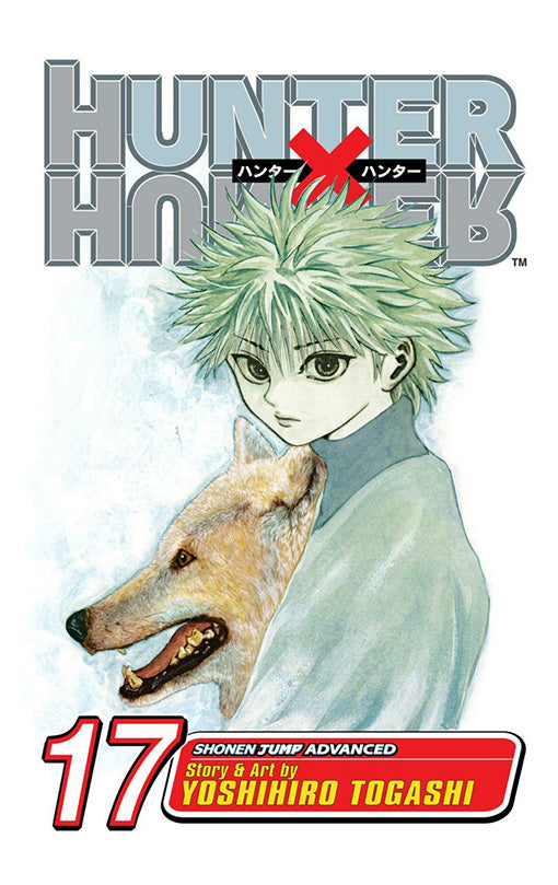Hunter x Hunter vol 17