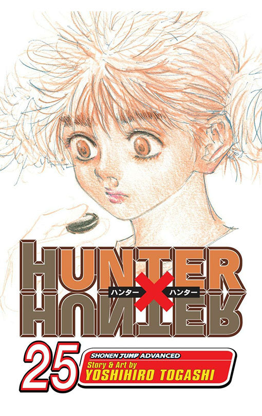 Hunter x Hunter vol 25