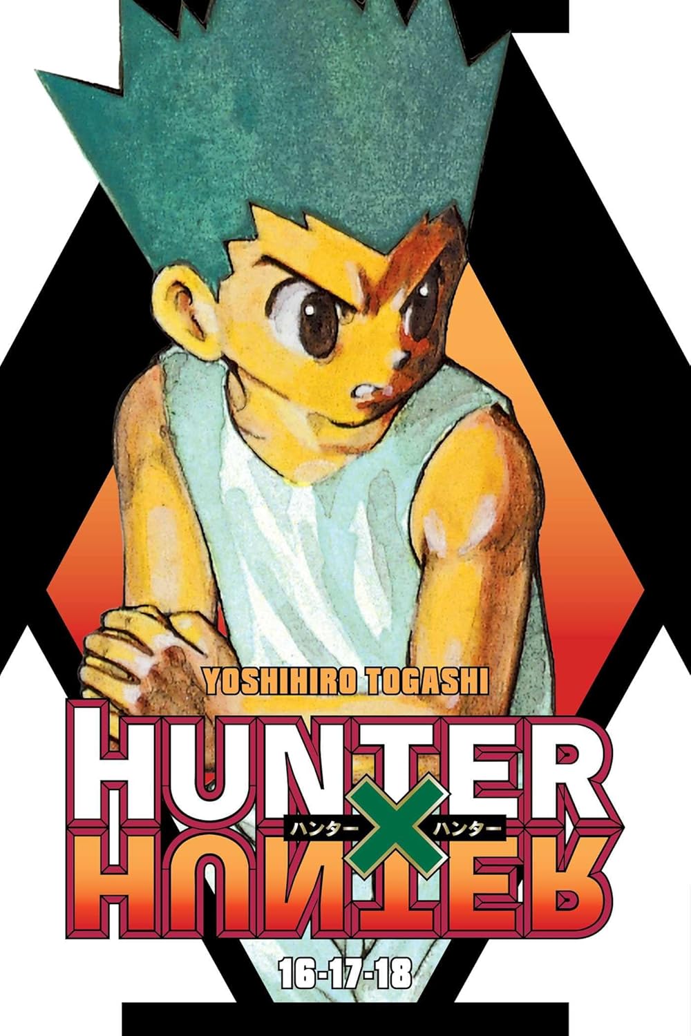 Hunter x Hunter (3-in-1 Edition) vol 06