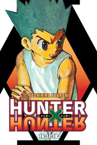 Hunter x Hunter (3-in-1 Edition) vol 06