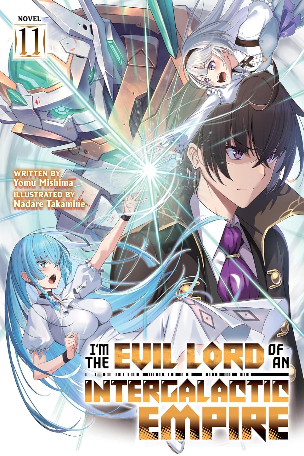 I'm the Evil Lord of an Intergalactic Empire! vol 11 (light novel)