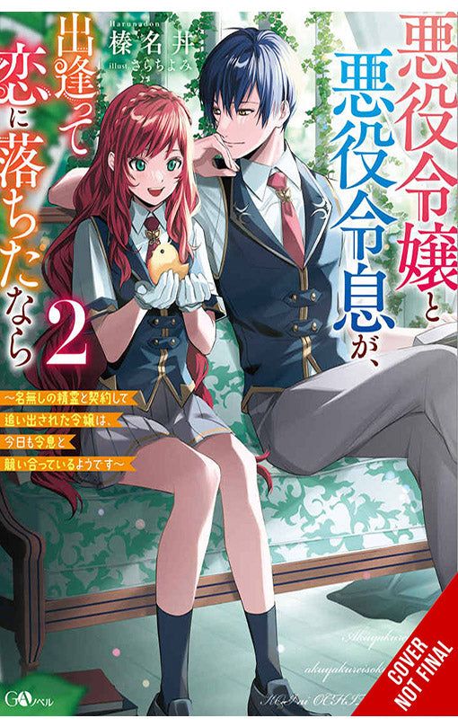 If the Villainess and Villain Met and Fell in Love vol 02 Light Novel