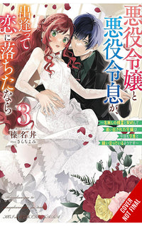 If the Villainess and Villain Met and Fell in Love vol 03 (light novel)